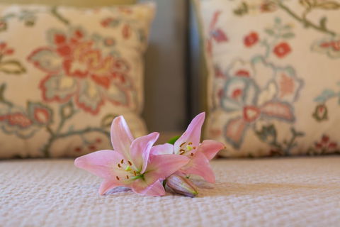 Stonewell Cottages & Vineyards - Maitland Accommodation 2