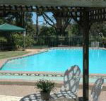 The Tree Motel - Maitland Accommodation