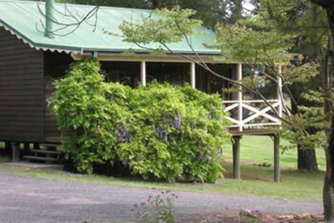 Madison's Mountain Retreat - Maitland Accommodation 1