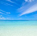 Hawks Nest Motel - Maitland Accommodation