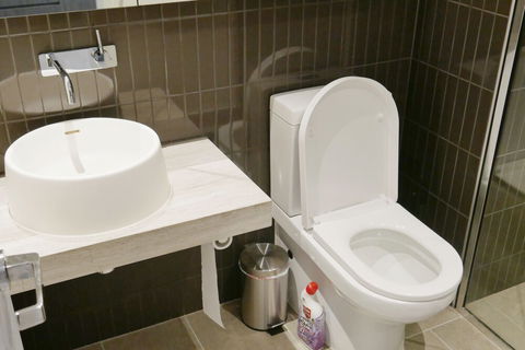 Holistay Fulton Lane 41 Luxury Home - Maitland Accommodation 5