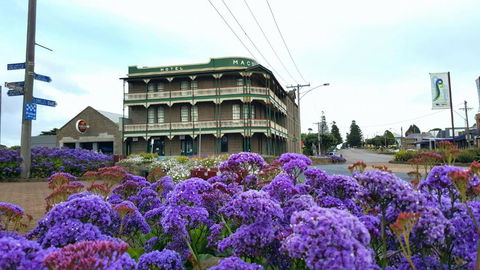 Georgia - Maitland Accommodation 2