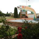 Big Trout Motel - Maitland Accommodation 0