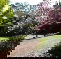 Curtis Falls Apartment