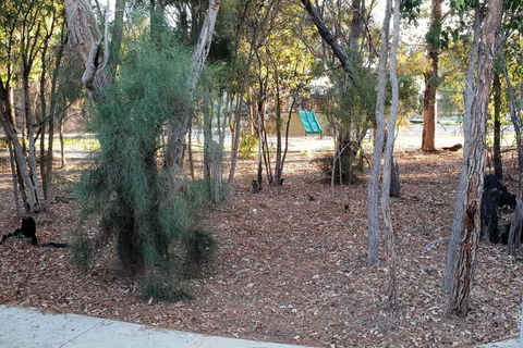Frasers Landing Lifestyle - Maitland Accommodation 4