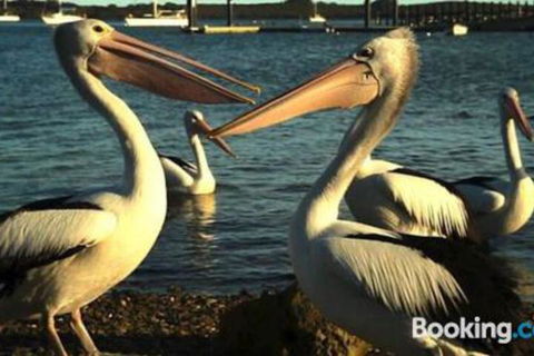 Schoolhouse Cottage American River - Maitland Accommodation 1