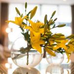 KUI Manhattan Apartments - Maitland Accommodation 0