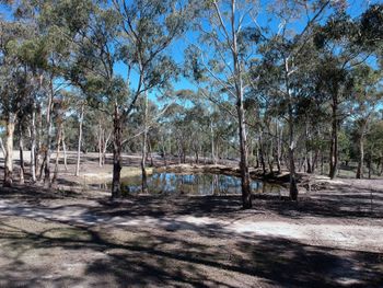 Big Tiny The Whispers - Maitland Accommodation 3