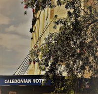 Caledonian Hotel - Maitland Accommodation