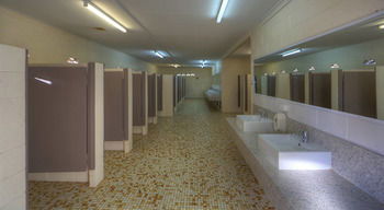 Kahlers Oasis Caravan Park - Maitland Accommodation 1