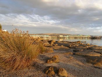 Port Lincoln Holiday Houses - Maitland Accommodation 4