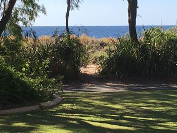 On The Shores Of Geographe Bay - Maitland Accommodation 5