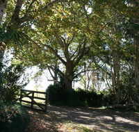 Maleny Mountain Retreat - Maitland Accommodation