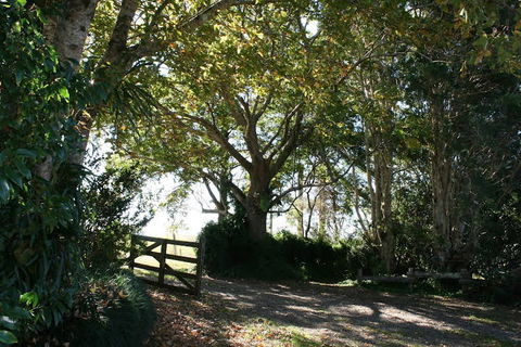 Maleny Mountain Retreat - Maitland Accommodation 0