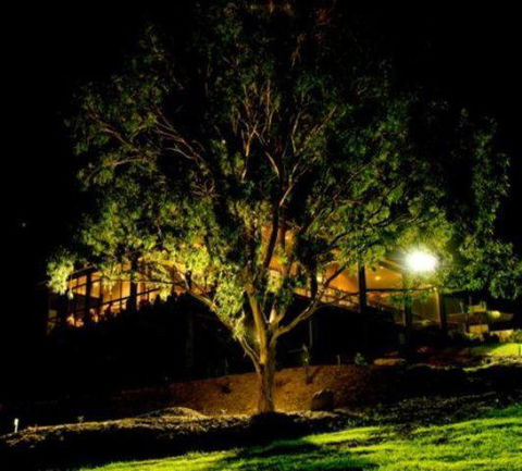 Oceanview Estate Vineyard Cottages - Maitland Accommodation 4