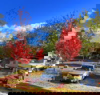 Beechworth Lake Sambell Caravan Park - Maitland Accommodation