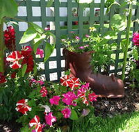 Albany Bayview Lodge YHA - Maitland Accommodation