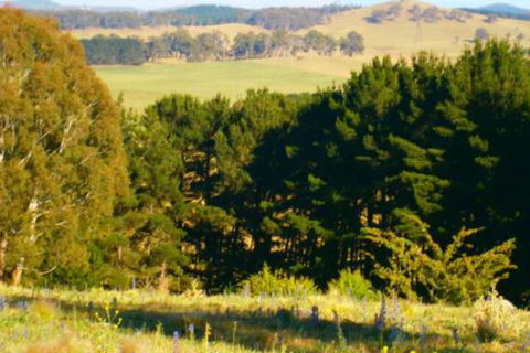 Highlands Motor Inn - Maitland Accommodation 4