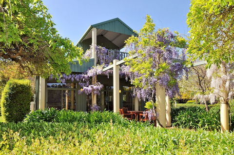 Tree Elle - Maitland Accommodation 1