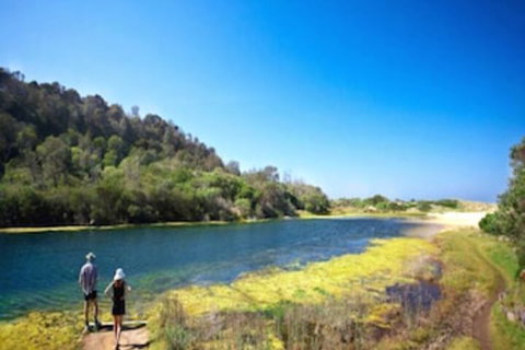 Paradise Holiday Apartments - Maitland Accommodation 6