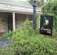 Lemontree Cottage - Maitland Accommodation
