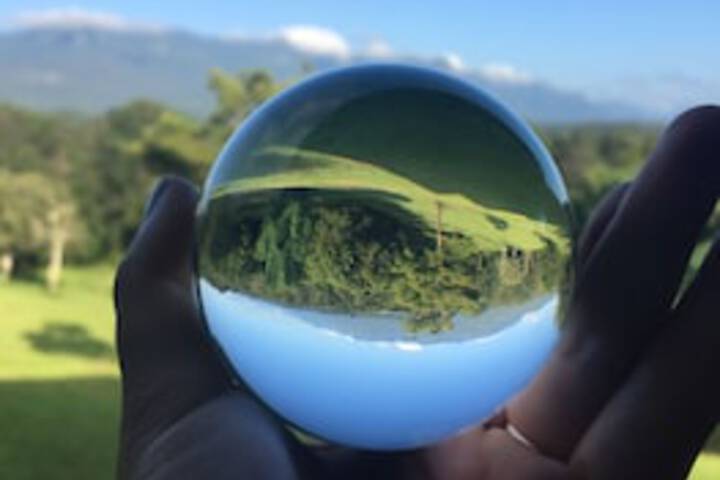 Mount Burrell NSW Maitland Accommodation