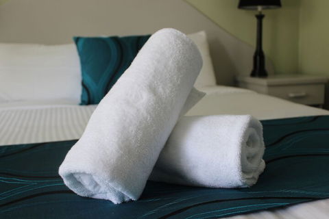 High Mountains Motor Inn - Maitland Accommodation 5