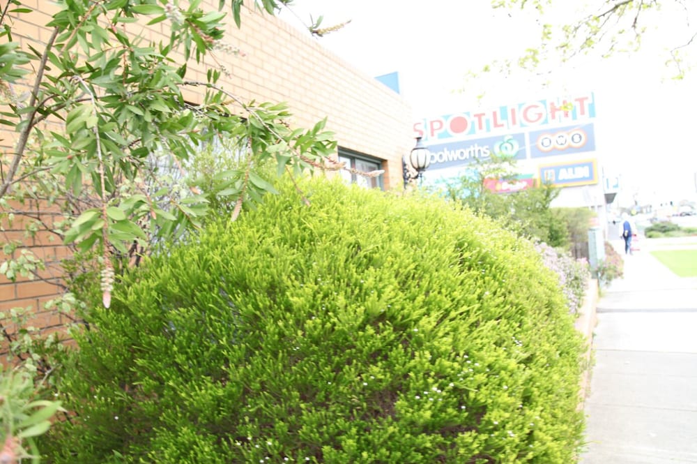 Murrumbeena VIC Maitland Accommodation