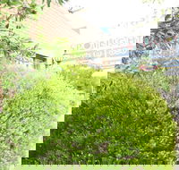 Carnegie Motor Inn - Maitland Accommodation