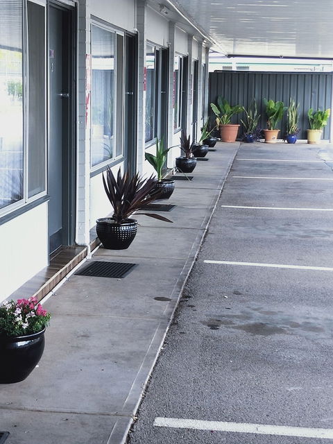 Oval Motel - Maitland Accommodation 6