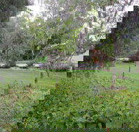 Amy's House - Maitland Accommodation