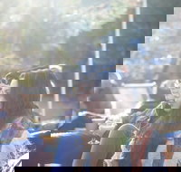 Thredbo Alpine Hotel - Maitland Accommodation