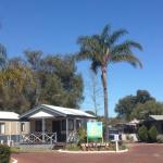 Pinjarra Caravan Park & Cabins - Maitland Accommodation 0