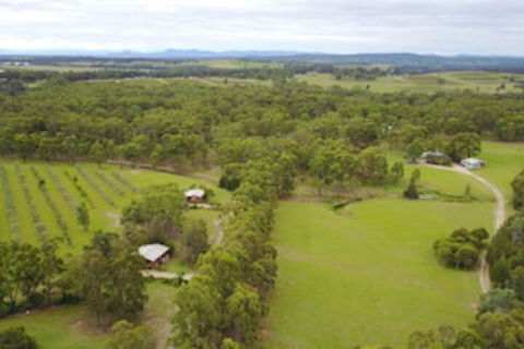 Twin Trees Country Cottages - Maitland Accommodation 0