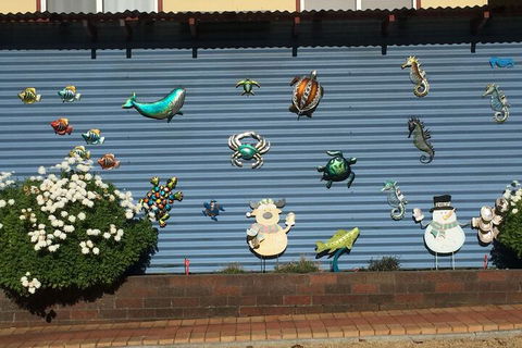 Albany Gardens Tourist Park - Maitland Accommodation 2