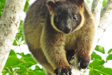 Mt Quincan Crater Retreat - Maitland Accommodation 2