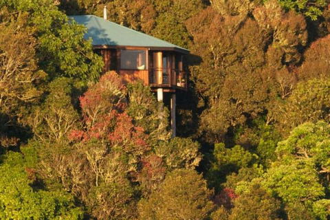Mt Quincan Crater Retreat - Maitland Accommodation 4
