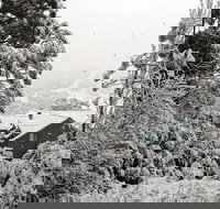 Alpenhorn - Maitland Accommodation