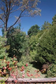 Leura Lady - Maitland Accommodation 3