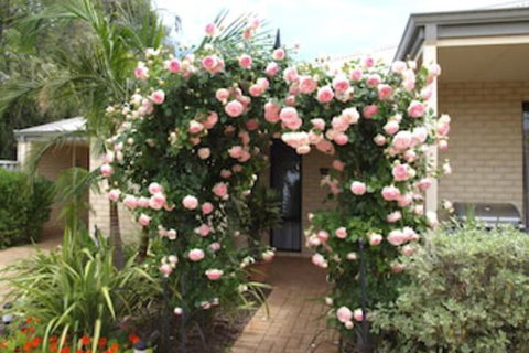 Baudins Of Busselton B & B - Maitland Accommodation 3