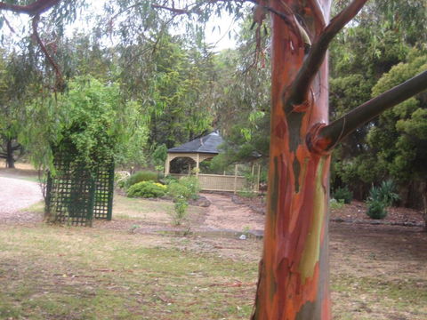 Golden Hills Motel - Maitland Accommodation 6