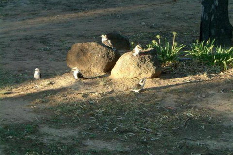 Riverview Motel Deniliquin - Maitland Accommodation 2