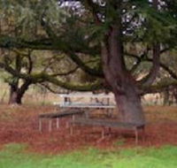 Auburn Shiraz Motel - Maitland Accommodation