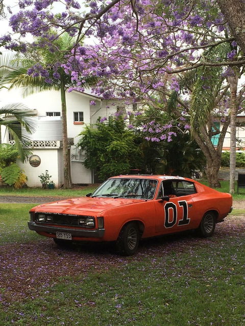 Plantation Retro Motel Tyndale - Maitland Accommodation 0