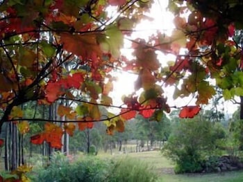Elfin Hill Country Accommodation - Maitland Accommodation 0