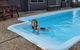 Elfin Hill Country Accommodation - thumb 5