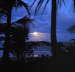Sejala Beach Huts - Maitland Accommodation
