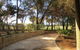 Bentwood Olive Grove Accommodation - thumb 3