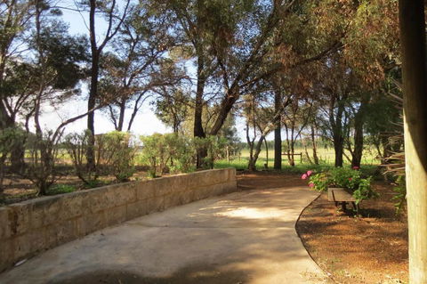 Bentwood Olive Grove Accommodation - Maitland Accommodation 3