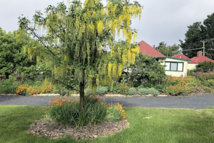 Fentonbury TAS Maitland Accommodation